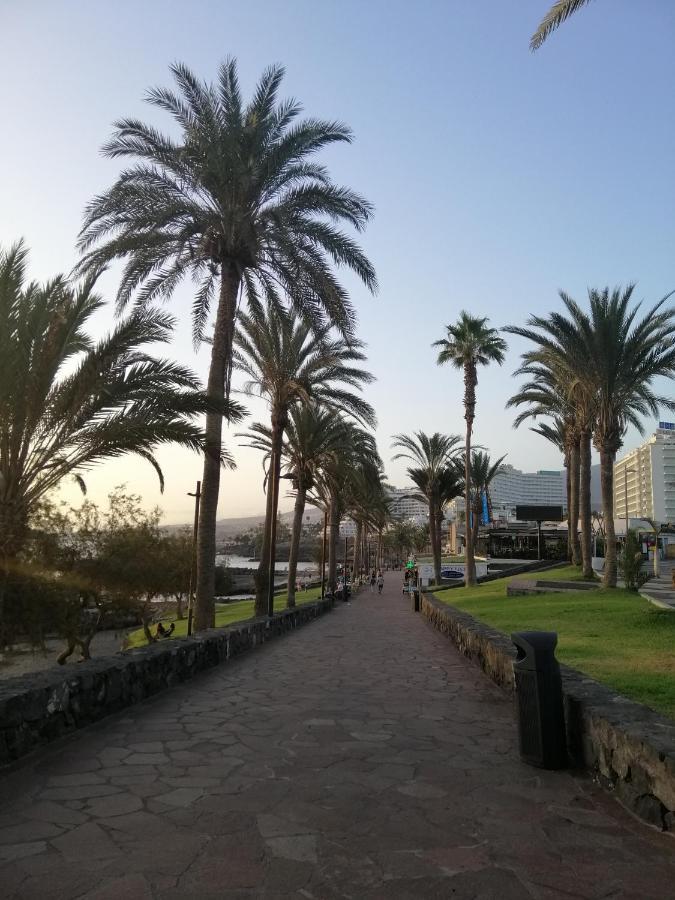 Сozy Apartment In Las Americas Playa Feñabe エクステリア 写真