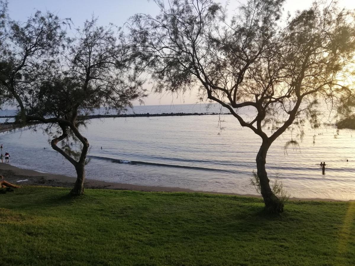 Сozy Apartment In Las Americas Playa Feñabe エクステリア 写真
