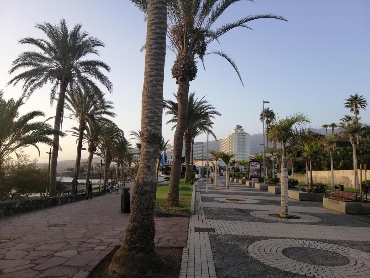 Сozy Apartment In Las Americas Playa Feñabe エクステリア 写真